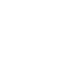 The Ninth Planet